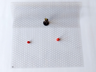 Transparent Grid Sheet A3 (42,0 x 29,7 cm) Hexagon 9 mm