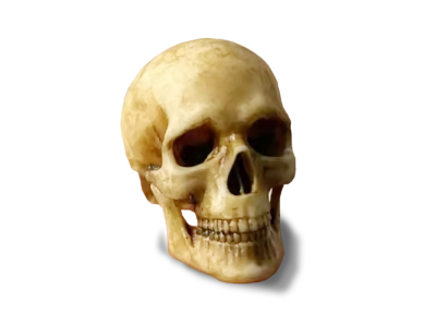 Pencil with Skull - Gamerboard Special