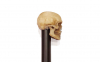 Pencil with Skull - Gamerboard Special
