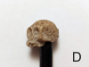 Stift mit Schädel, verrottender Look